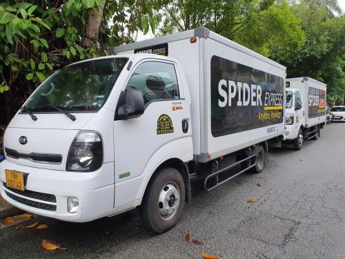 255429957 454497236273874 1197967784659105334 n